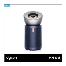 다이슨 빅 앤 콰이엇 포름알데히드 공기청정기(니켈블루)